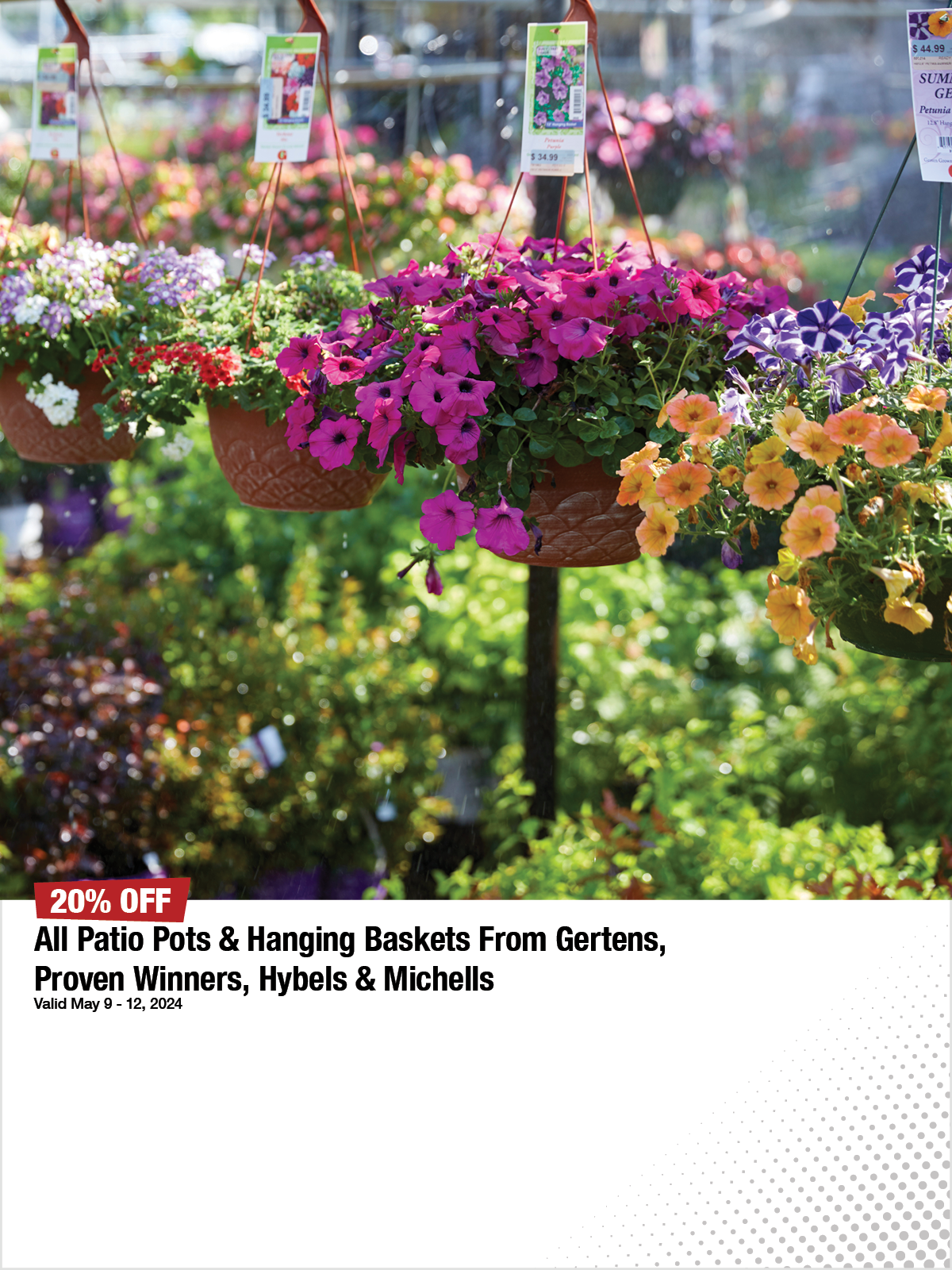 All Patio Pots & Hanging Baskets From Gertens, Proven Winners, Hybels & Michells