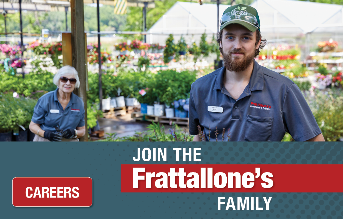Join The Frattallone's Family