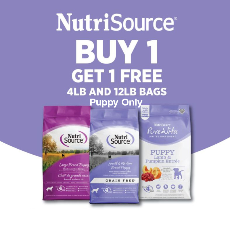 FULLMIDSTANDARD-#3-(11_1 – 12_31)