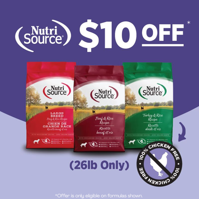 FULLMIDSTANDARD-#4-(11_1 – 12_31)