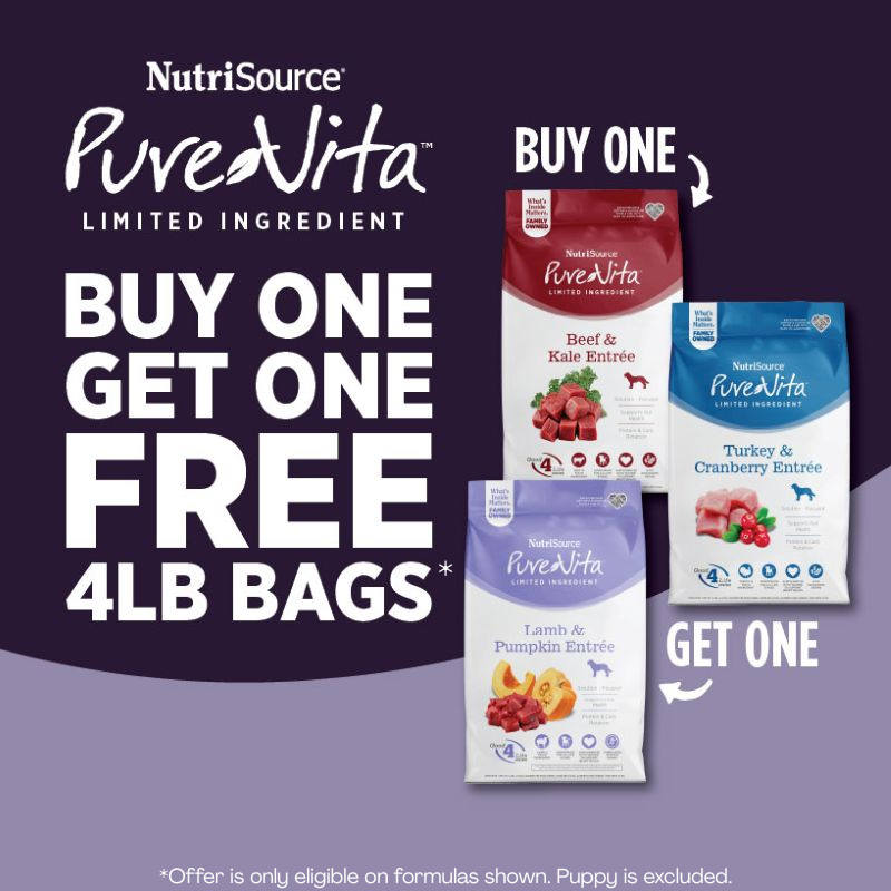 FULLMIDSTANDARD-#5-(11_1 – 12_31)