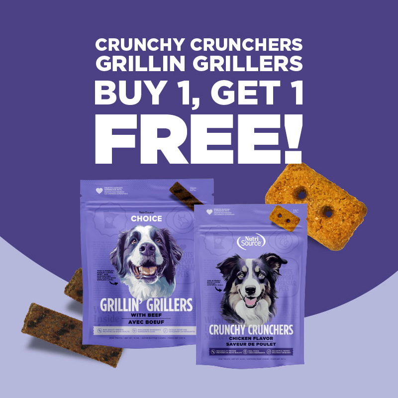 FULLMIDSTANDARD-#2-(12_1-12_30)