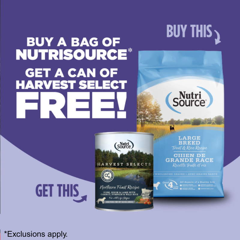 FULLMIDSTANDARD#3-(12_1-12_31)